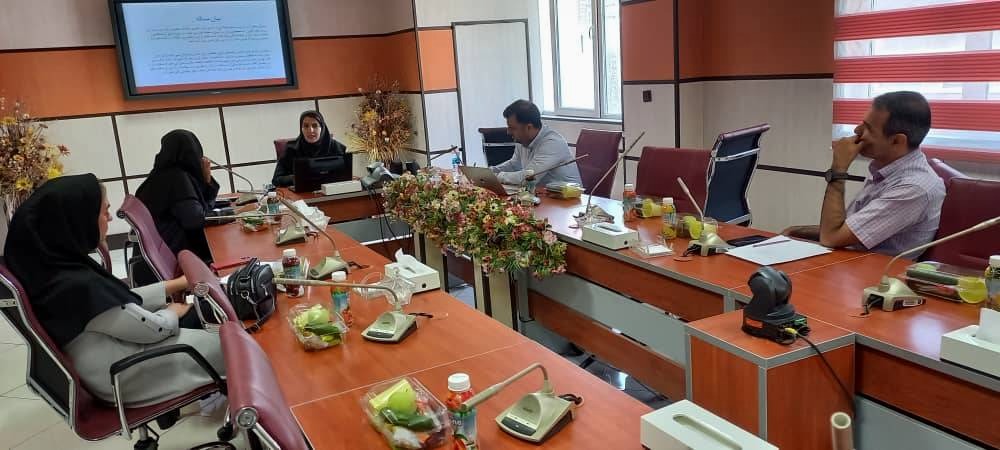 نتایج یک پایان نامه نشان داد: استفاده از خدمات سلامت از راه دور یک راه‌حل موثر برای ارتقای سلامت زنان است